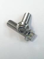 1/4-20 12 Point Stainless bolts. ARP
